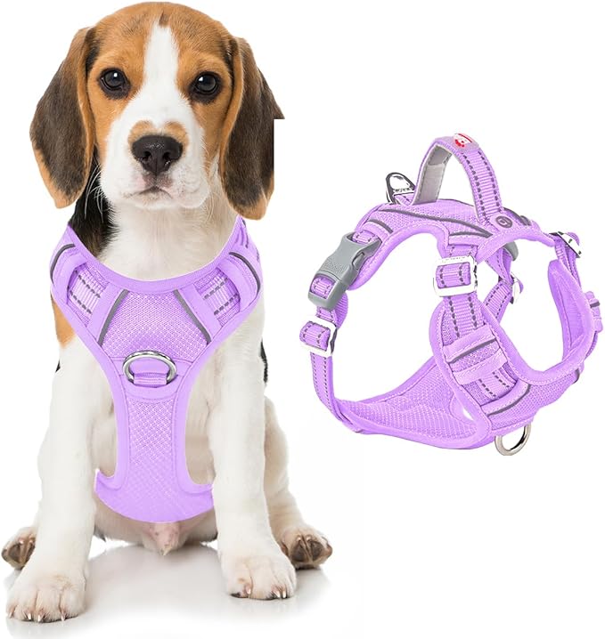 BARKBAY Dog Harness No Pull with ID Tag Pocket - Heavy Duty, Reflective, Easy Control for Large Dogs(Violet Purple,M)