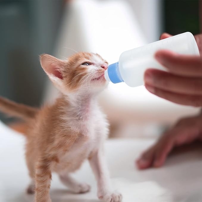 WOONEKY 6pcs Pet Nursing Bottles for Kitten and Puppy Cat Feeding Water Feeders Lightweight Portable Dog Milk Bottles