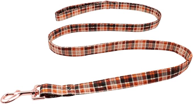 Lionet Paws Dog Leash for Small Dogs, Orange, Blue, Extra Small, 5/8in x 4ft
