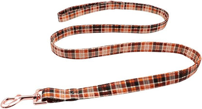 Lionet Paws Dog Leash Matching Dog Collar for Small Medium Large Dog