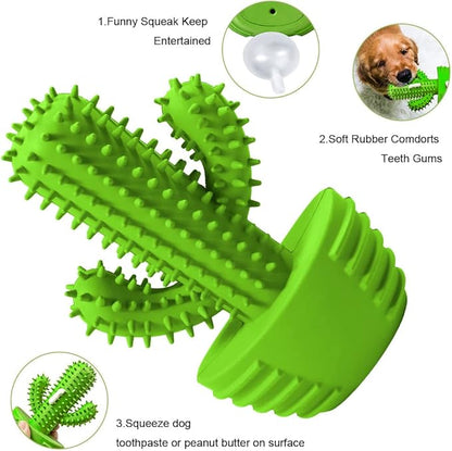 Pamlulu Dog Chew Toys, Toothbrush Stick Teeth Cleaning Brush Dental for Small Medium Large Dog, Rubber Squeaky Toys for Aggressive Chewers Cactus Tough Toys