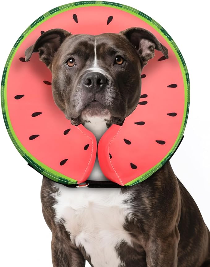 MIDOG Dog Cone Collar for Large Medium Dogs, Soft Inflatable Dog Cone Alternative After Surgery, Adjustable Protective Recovery Cone - Alternative E Collar Does Not Block Vision (Watermelon,L)