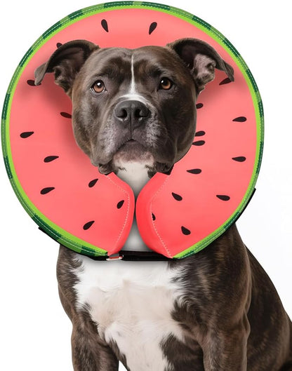MIDOG Dog Cone Collar for Large Medium Dogs, Soft Inflatable Dog Cone Alternative After Surgery, Adjustable Protective Recovery Cone - Alternative E Collar Does Not Block Vision (Watermelon,L)