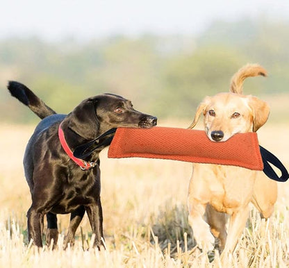 Clysoru Dog Tug Toy Double Pack Tough Jute Bite Pillow Training Equipment Puppy to Large Dogs Interactive