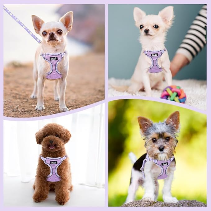 Lukovee No Pull Puppy Harness and Leash Set - Soft Lightweight Escape Proof Puppy Vest Harness, Breathable Adjustable Pet Harness with Dog Leash for Small Dogs (Pink, M)