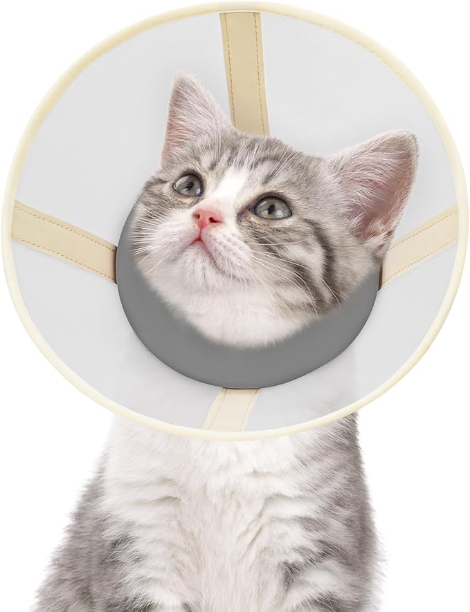 Cat Cone Collar Soft- Adjustable Comfortable Air Mesh Recovery Cone After Surgery to Stop Licking and Scratch, Alternative to Plastic Elizabethan Collar for Cat, Whiskers Freedom (Grey, XS)