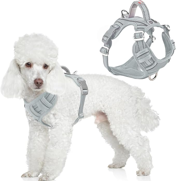 BARKBAY Dog Harness No Pull with ID Tag Pocket - Heavy Duty, Reflective, Easy Control for Large Dogs(Grey,XS)
