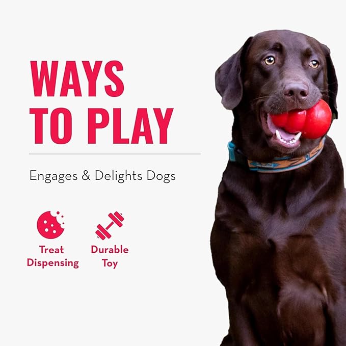 KONG - Genius Mike - Interactive Treat Dispensing Dog Puzzle Toy (Assorted Colors) (Small)