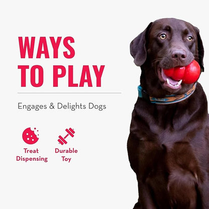 KONG - Genius Mike - Interactive Treat Dispensing Dog Puzzle Toy (Assorted Colors) (Small)