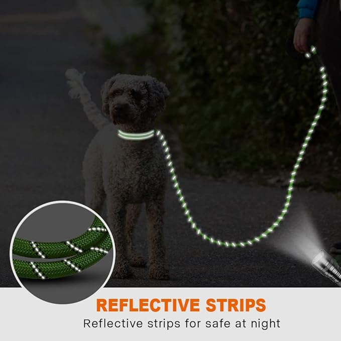 Taglory Rope Dog Leash 6 FT with Comfortable Padded Handle, Highly Reflective Threads Leash and Anti-Tangle Clip for Walking Small Dogs, 3/8 inch, Green