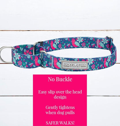 Lucky Love Dog Martingale Dog Collar - Adjustable, No-Slip, Comfortable, Durable, Soft Webbing & Stylish Patterned Collar for Male and Female Dogs Ideal for Training & Walking - Carriebelle, Large