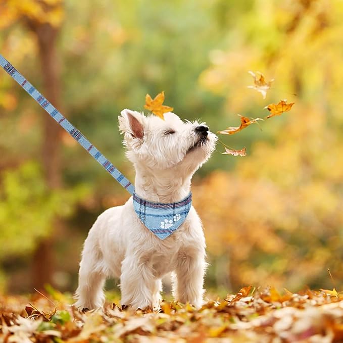 EXPAWLORER Puppy Collar and Leash Set - Embroidery Pawprints Plaid Dog Collar with Bow Tie and Bandana, Cute Collar and Leash for Dogs and Cats, Blue XS