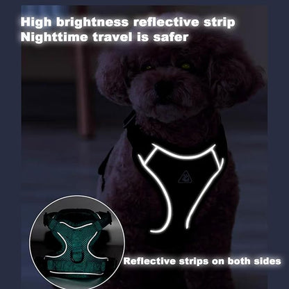 SOLMOONY Small Dog Harness,Soft Mesh Puppy Harness and Leash Set,No Escape Cat Harnesses for Training Walking,Reflective Adjustable Puppy Vest for Small Medium Dogs, Cats (Turquoise, M)