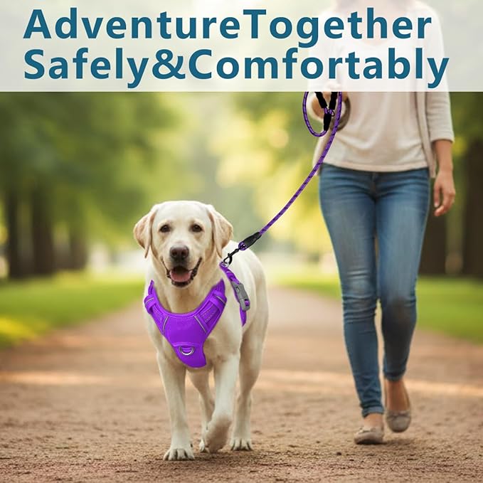 BARKBAY Dog Harness No Pull with ID Tag Pocket - Heavy Duty, Reflective, Easy Control for Large Dogs(Purple,L)