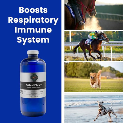 Natural Immune Support Solution - 100 PPM Chelated Silver for Dogs, Cats, Horses, Livestock - Veterinarian Developed Formula - Natural Breathing Support (16 oz)