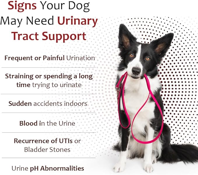 K-Plus Potassium Citrate Plus Cranberry Supplement for Dogs - UTI Remedy Chewable Tablets - Supports Bladder Health - For Every Dog Breed (100 Tabs)