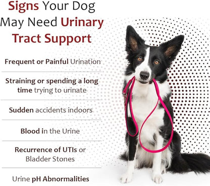 K-Plus Potassium Citrate Plus Cranberry Supplement for Dogs - UTI Remedy Chewable Tablets - Supports Bladder Health - For Every Dog Breed (100 Tabs)