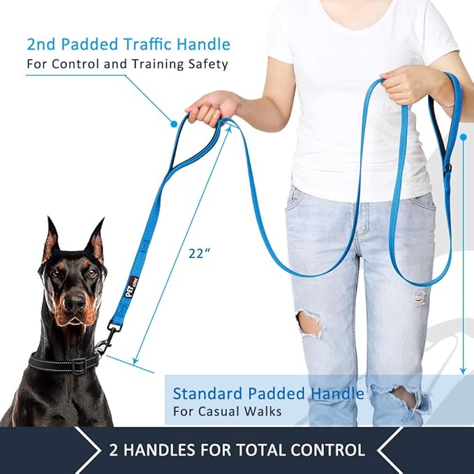 Plutus Pet Double Handle Dog Leash 4ft, Heavy Duty, Reflective Dual Handle Dog Leash for Safety Training, for Medium Large Dogs,2 Handle Leads(Blue)