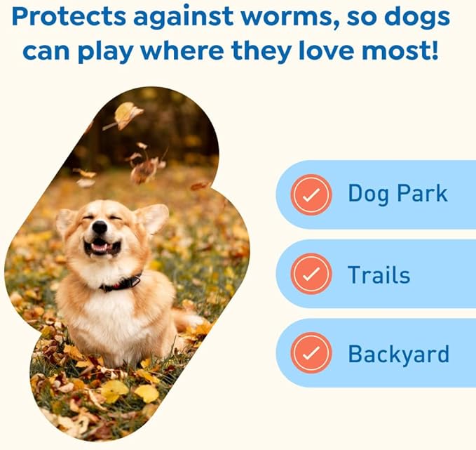 Interceptor Plus Prevention for Heartworm + 4 Other Worms for Dogs 8.1-25 lbs. | 6 Chews, 6-Month Supply