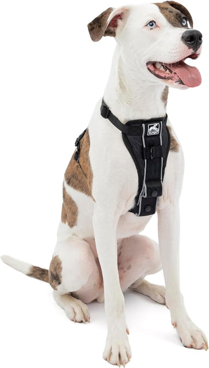 Kurgo Tru-Fit Smart Dog Walking Harness - Comfortable Fit - Adjustable Harness - Reflective Pet Wear - Quick Strap Release - Daily Walk Accessory - Includes Seat Belt Loop - Black - Medium