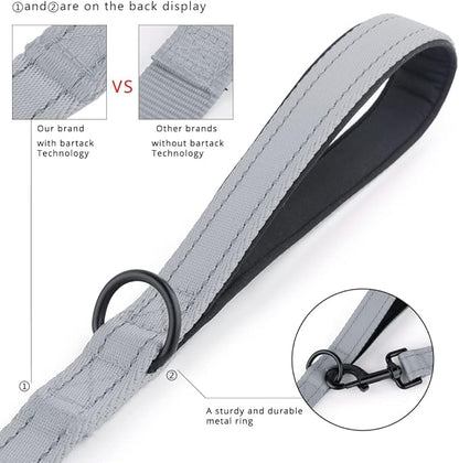 Plutus Pet Double Handle Dog Leash 5ft, Heavy Duty, Reflective Dual Handle Dog Leash for Safety Training, for Medium Large Dogs,2 Handle Leads(Gray)