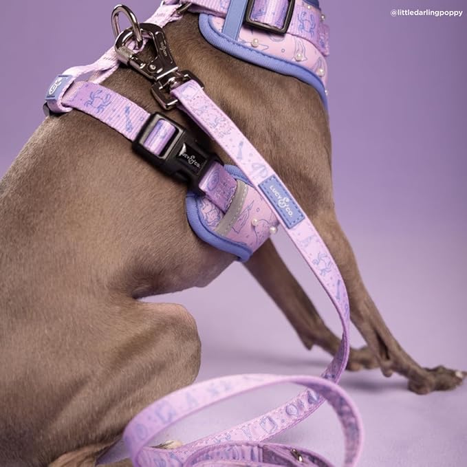 Lucy & Co. Magnificent Mermaid Pearl Dog Leash, Durable Matching Dog Lead with Heavy Duty Hardware, Large