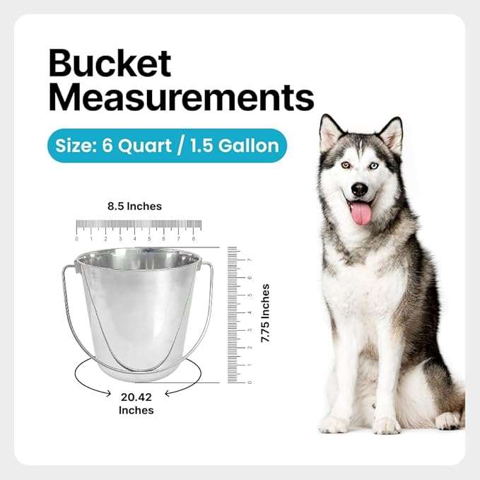 1.5 Gallon Heavy Duty Stainless Steel Bucket - Rust-Resistant Metal Bucket for Feeding & Watering Pets, Livestock & Cleaning - Perfect for Crates, Kennels, Cages & Hang on Fences - 6 Quart
