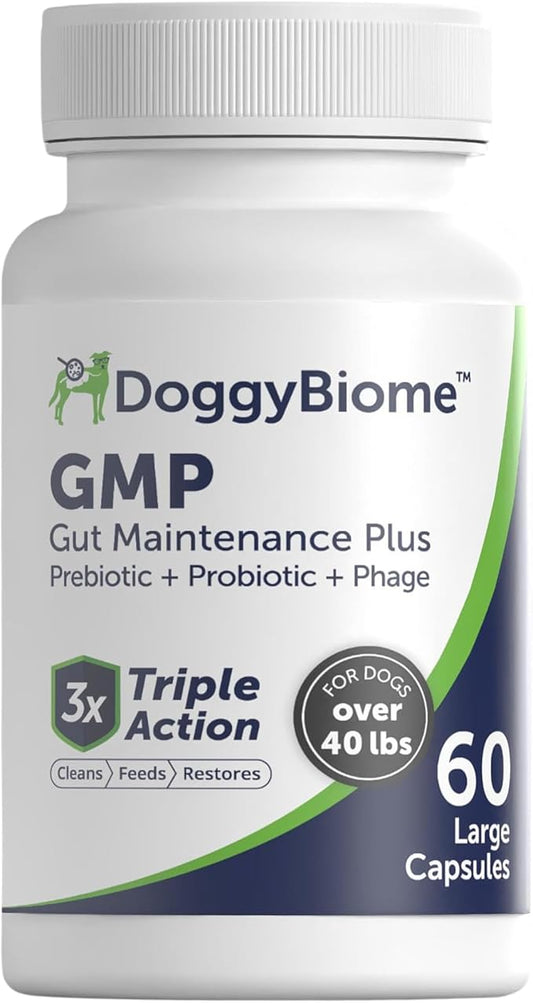 Animal Biome Probiotics for Dogs with S Boulardii, Gut Maintain (60 Capsules) – Triple-Action Large Dog Probiotics, Prebiotics & Phage Supplements for Gut Health, Firmer Stool & Diarrhea Support