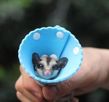 Squirrel Elizabeth Collar, Sugar Glider Protection Cone Neck Recovery Collar, Elizabeth Anti-Water Cone for Small Animals, Soft Pet Neck Cone for Squirrel (for Eurasian Red/Russian Red Tree Squirrel)