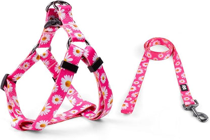 QQPETS Dog Harness Leash Set Adjustable Heavy Duty No Pull Halter Harnesses for Small Medium Large Breed Dogs Back Clip Anti-Twist Perfect for Walking (M(19"-26" Chest Girth), Daisy)