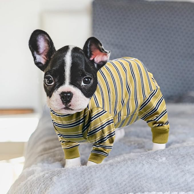 FEimaX Dog Recovery Suit After Surgery, Pet Abdominal Wounds Post Surgical Shirt for Dogs Cats, Puppy Spay Neuter Prevent Licking Onesie Alternative Bandages E-Collar & Cone