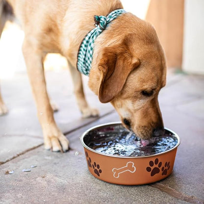 Loving Pets Bella Dog Bowls- Stainless Steel Dog & Cat Bowls - Spill Proof Dog Food Bowl, Cat Bowl, Puppy Essentials & Pet Supplies Great for Home & Travel (Medium 20-35 lbs, Copper)