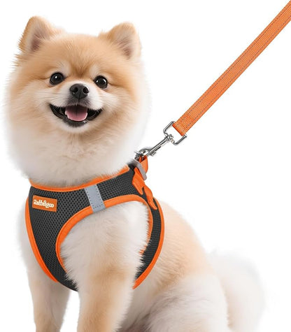 rabbitgoo Dog Harness Small Sized and Leash Set, Step-in Breathable Pet Harness, Soft Walking Reflective Puppy Vest for Small Dogs, Black & Orange, M