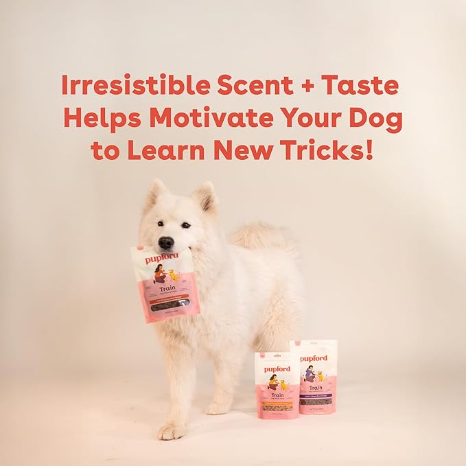 Pupford Soft & Chewy Training Treats for Dogs & Puppies (Beef, 10 oz, 2 Pack)