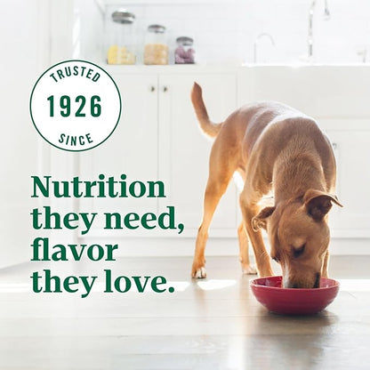 Nutro Ultra Dry Dog Food for Adult Dogs with a Trio of Proteins from Chicken, Lamb and Salmon, 4 lb. Bag