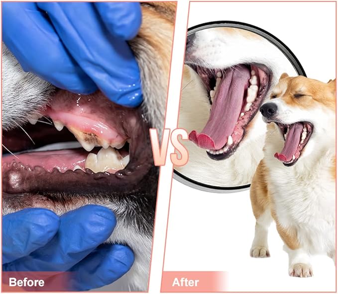 Dog Chew Toy,Durable Rubber Slipper Toy for Puppy,Dog Tough Toys for Pet Training and Cleaning Teeth,Interactive Puppy Toys Aggressive Chewers Small Meduium Breed