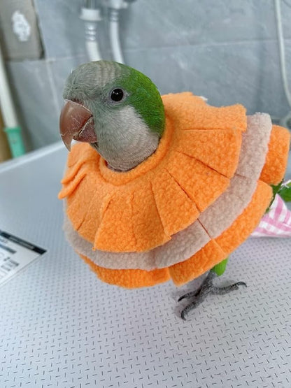 Adjustable Parrot Cone Collar, Safe and Practical Cotton Collar to Prevent Bites and Licking Wounds, to Help heal (5XL)