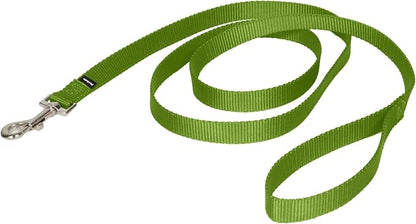 PetSafe Nylon Leash - Strong Nylon Dog Leash for Everyday Walks - Durable Pet Leash with Quick Attach Leash Clip - Comfortable Soft Grip - 6 Feet - Apple Green