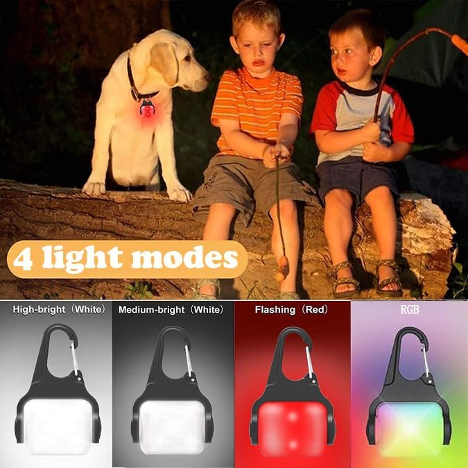 Dog Lights for Night Walking, Clip on Dog Collar Light - 3 Modes, USB-C Rechargeable, IP65 Waterproof, LED Safety Light for Running, Camping, Climbing, Bike