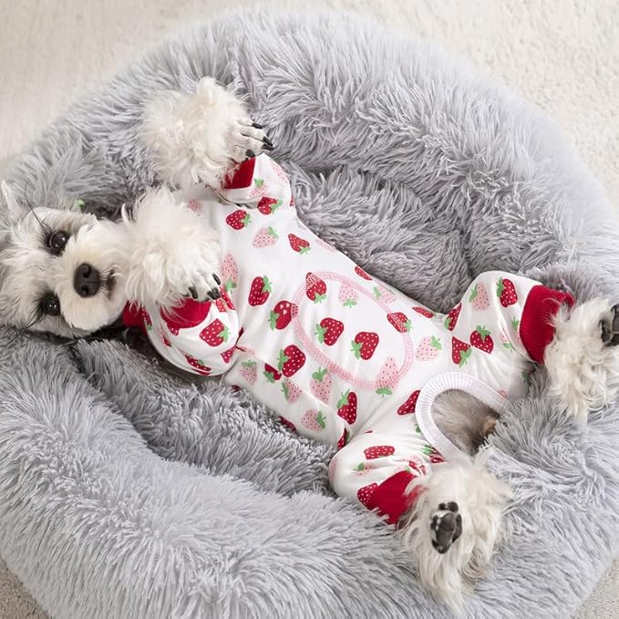 Dog Surgery Recovery Suit, Dog Onesie for Surgery Female Male Dogs, Dogs Pajamas Long Sleeve, Small Dogs Onesie, Abdominal Wound Bandages Surgical Suit, Cat Recovery Suit for Shedding Skin Disease