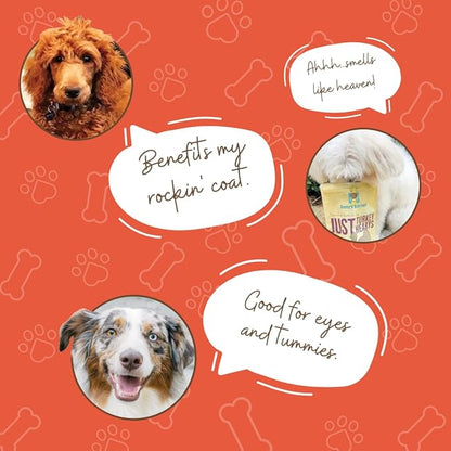 Chicken Meat Medley Freeze Dried Dog Treats USA Sourced and Small Batch Made - Human-Grade, All Natural Dog Treats Without Artificial Preservatives, Grain Free - 3 oz