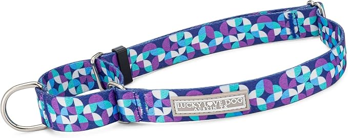 Lucky Love Dog Martingale Dog Collar & Leash - Adjustable, No-Slip, Durable, Comfortable, Soft Webbing, & Stylish Patterned Collar & Leash Set for Male and Female Dogs - Jasper Combo, Small