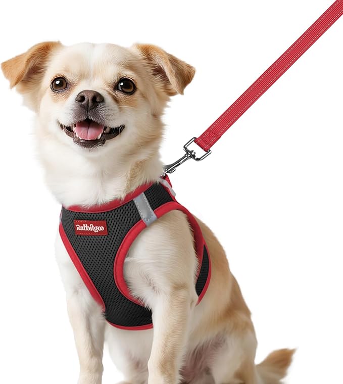 rabbitgoo Dog Harness Small Sized and Leash Set, Step-in Breathable Pet Harness, Soft Walking Reflective Puppy Vest for Small Dogs, Black & Red, XXS