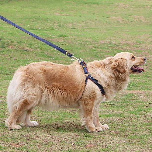 Hypeety Dog Denim Leash Harness Adjustable Heavy Duty Durable Dog Collar No-Pull for Training Walking Running, Good for Large Medium Small Dog (S (9.05"-12.99" Chest Girth))