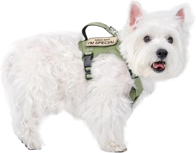 Tactical Dog Harness for Small Dog - Reflective Puppy Pet Vest No Pull Military Service Dog Vest with Vertical Handle XS Dog Harness for Outdoor Training