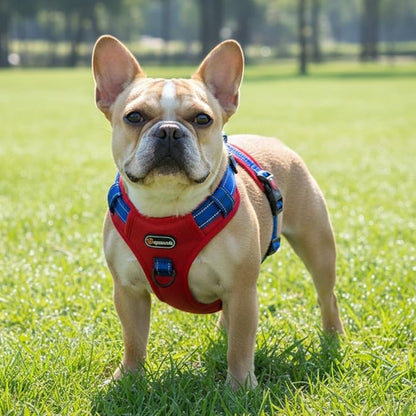 Tactical Dog Harness for Large Medium Dogs No Pull Adjustable Pet Vest with Reflective Straps Front & Back Clips Handle for Hiking Walking Hunting– 4 Sizes with or Without Leash (RED, S)
