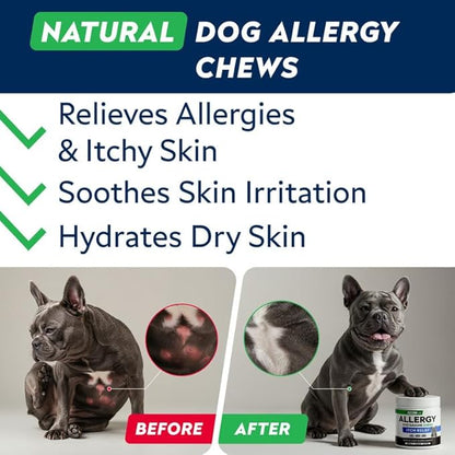 STRELLALAB Dog Allergy Relief & Anti Itch Support Chews w/Omega 3: Real Ingredients, Real Taste! Skin & Coat Immune w/Fish Oil, Pumpkin & Enzymes — Developed by Experts - Made in USA - 60Ct