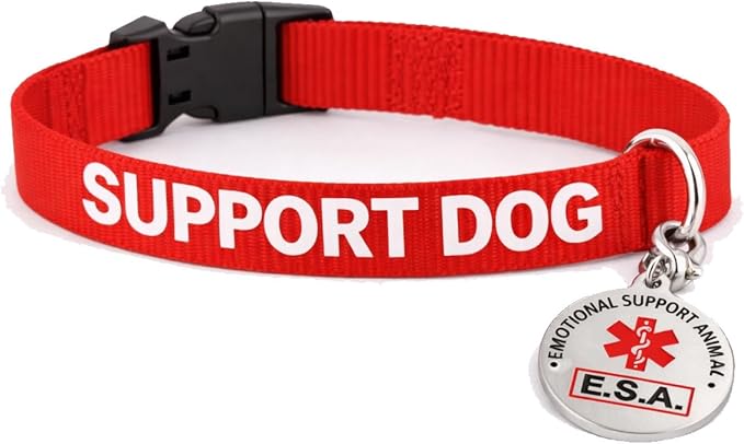 Service Dog Collar & Emotional Support Animal (ESA) Collar with Metal ID Tag + 3 Information Cards – Adjustable Heavy-Duty Nylon | ALL ACCESS CANINE