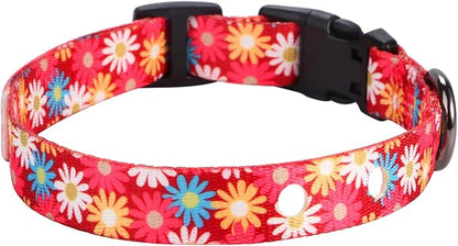 Rhea Rose 1 Inch Replacement Collar Strap Shock Collar with 2 Holes, Compatible with Nearly All Brands and Models of Underground Electric Dog Fences and Training Collars, Red Daisy