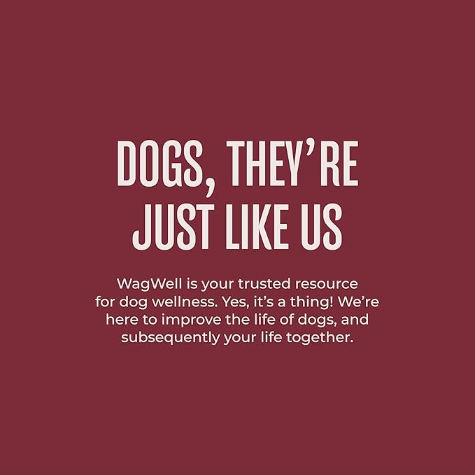 WagWell Freeze-Dried Dog Food Topper, Beef Liver Flavor | Training Treats, Food Topper, Healthy Snack for Dogs | Human Grade, Grain Free, High Protein | Made in USA | 4 oz Bag, 2 Pack